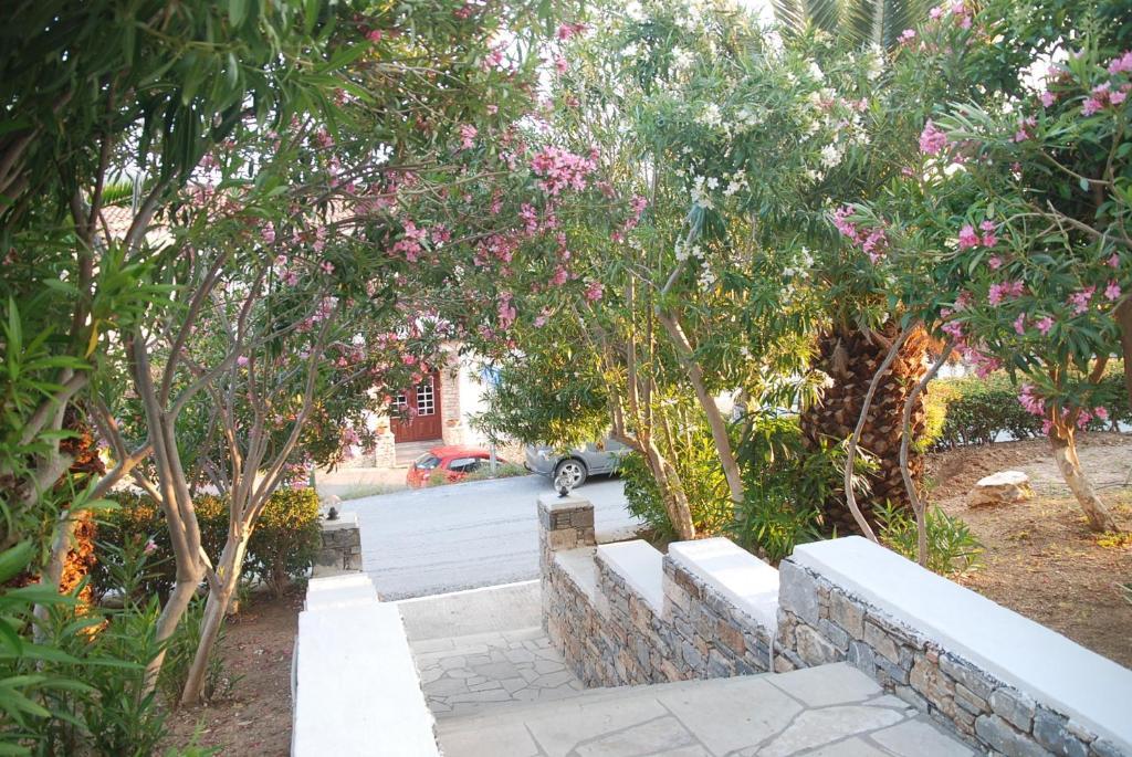 Anthemis Hotel Apartments Ajía Paraszkeví Kültér fotó